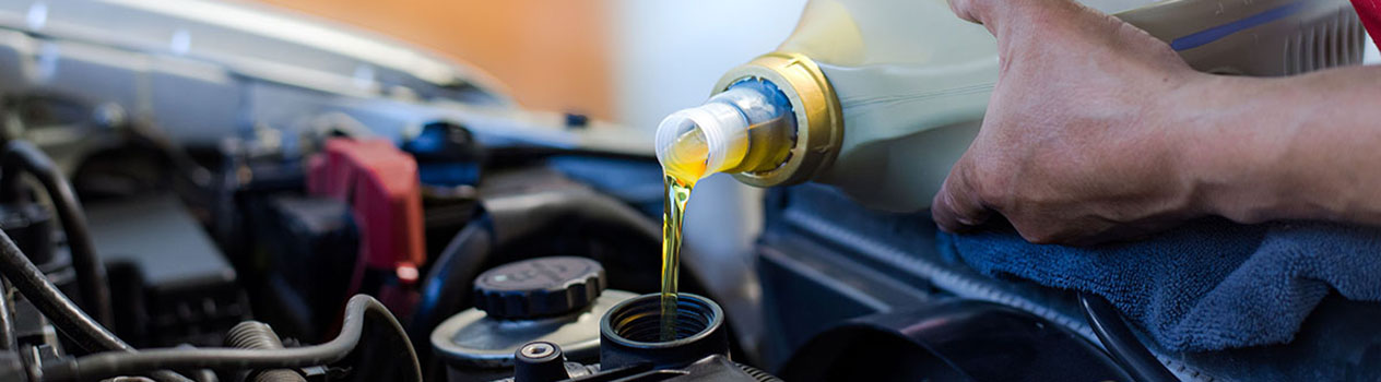 banner-image